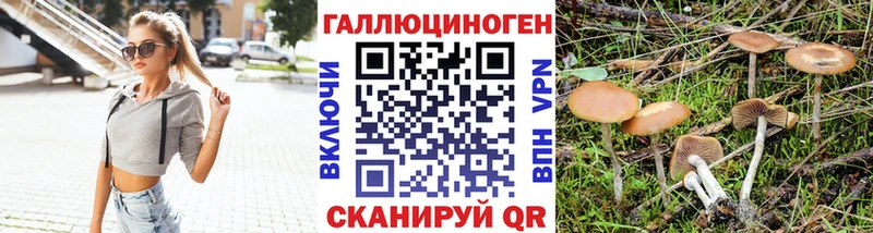 Псилоцибиновые грибы Cubensis  darknet Telegram  Завитинск  наркота 