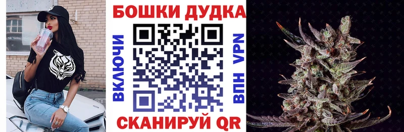 kraken как зайти  Завитинск  Канабис сатива 